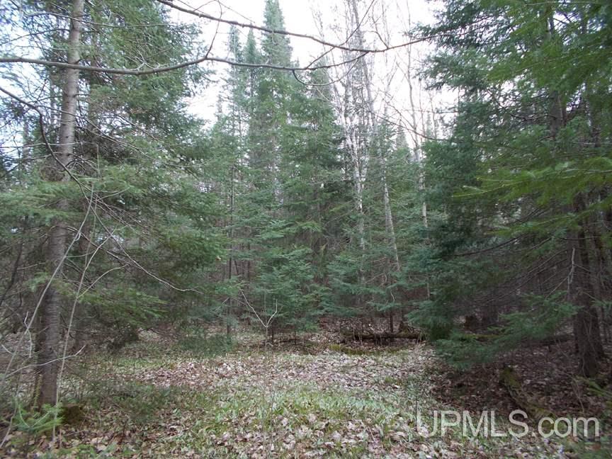 3679 Lang Road Gulliver, MI 49840 - Photo 8 of 17 Gallery Image 8