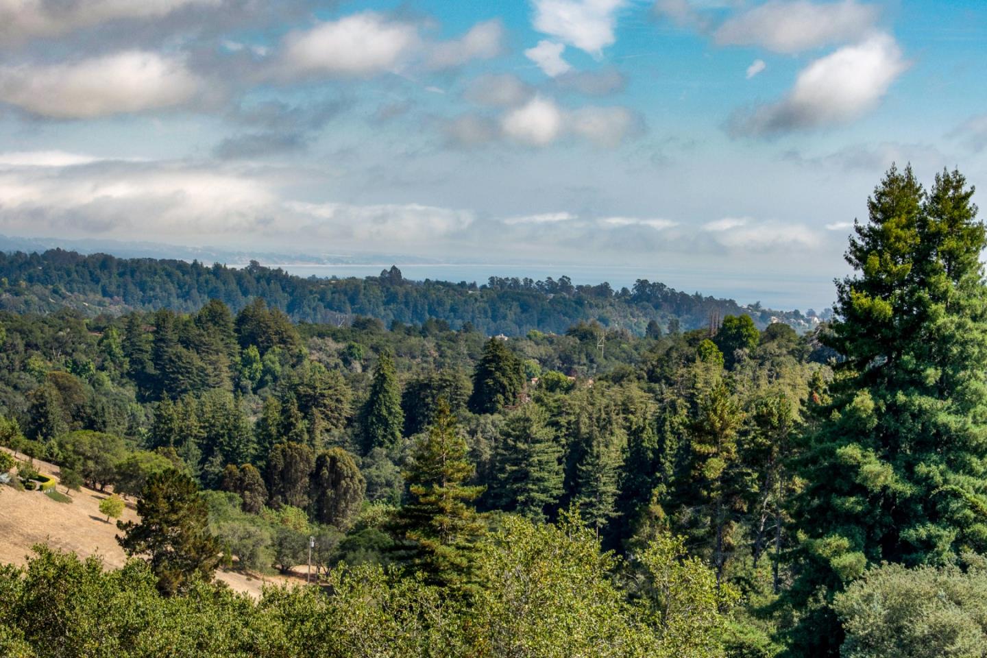 185 La Cima Street Soquel, CA 95073 - Photo 31 of 39 a view of a city with lush green forest