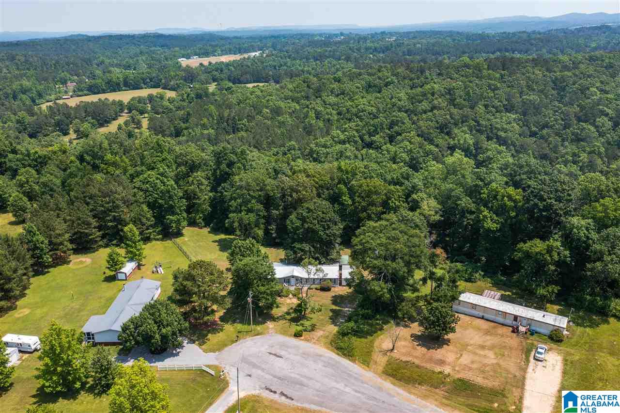 460 George Headley Road Locust Fork, AL 35097 - Photo 2 of 49