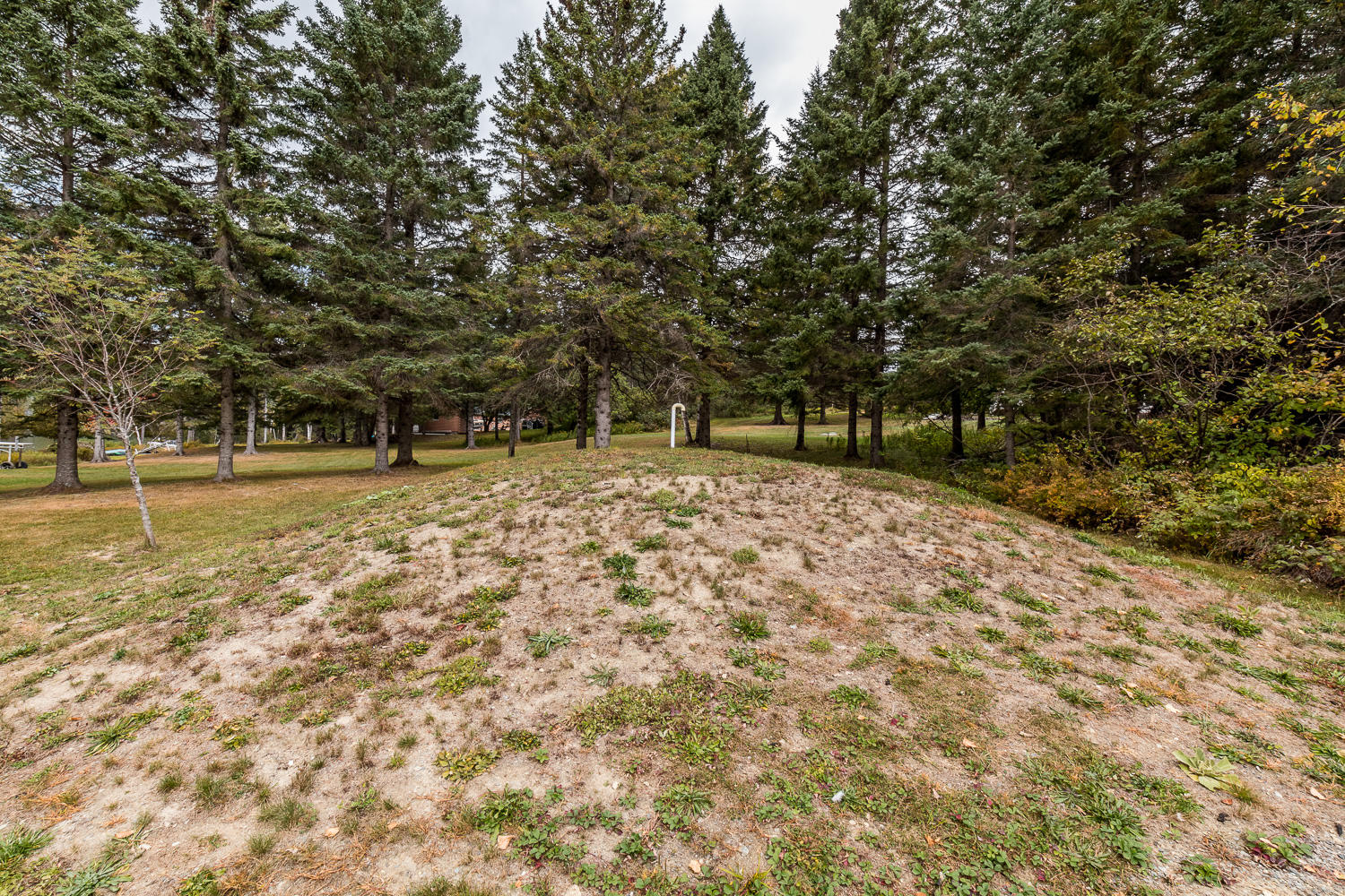 14 Whitetail Path Rangeley, ME 04970 - Photo 104 of 108 20200924ms-81082