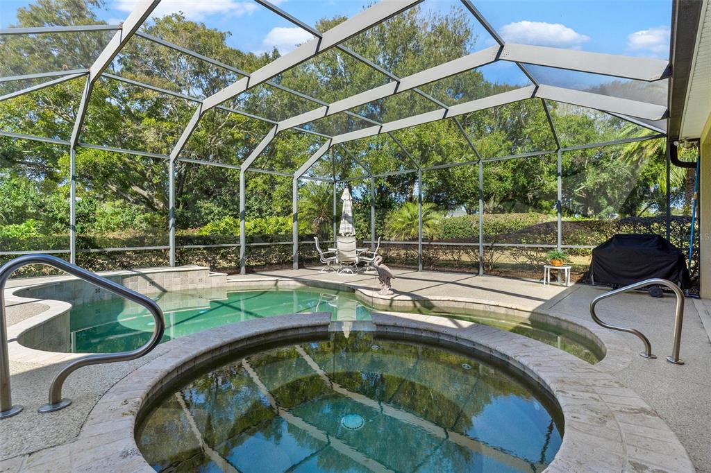 5903 Spinnaker Loop Lady Lake, FL 32159 - Photo 5 of 73 a view of a swimming pool with a patio in the backyard