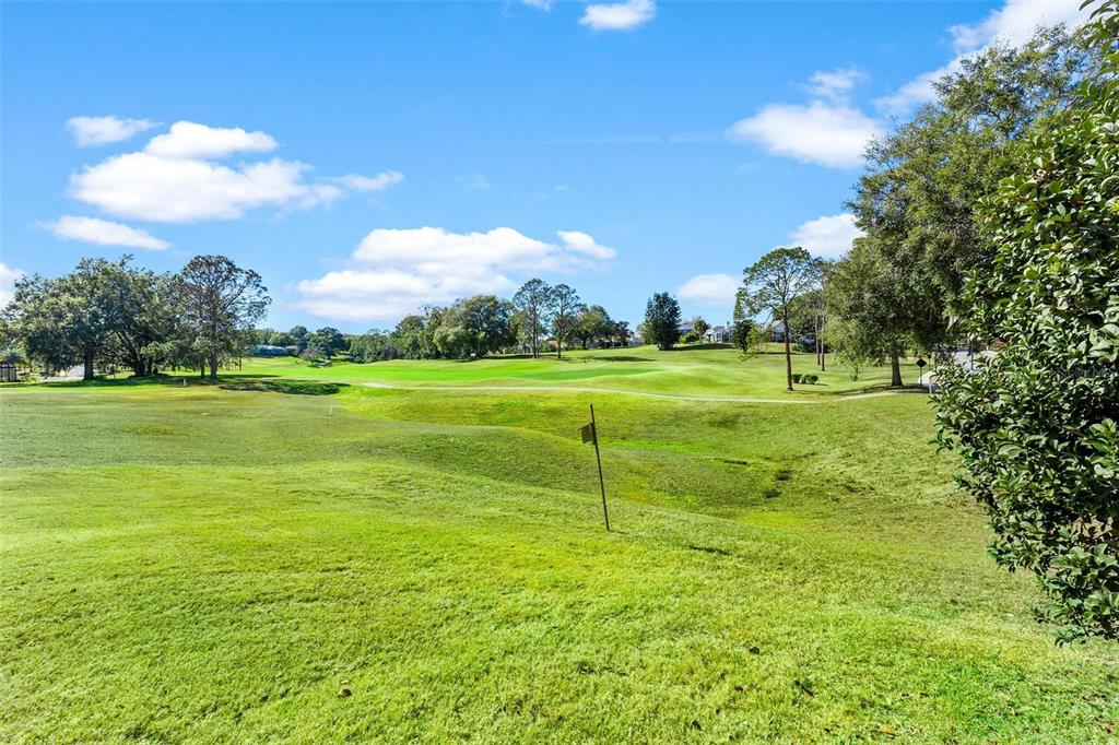 5903 Spinnaker Loop Lady Lake, FL 32159 - Photo 7 of 73