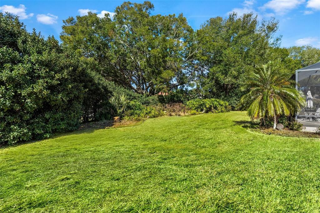 5903 Spinnaker Loop Lady Lake, FL 32159 - Photo 72 of 73 a view of an outdoor space and a yard