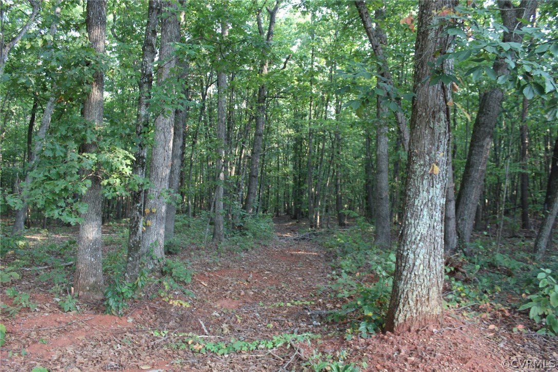 10375 Andersonville Road Dillwyn, VA 23936 - Photo 26 of 29 Gallery Image 26
