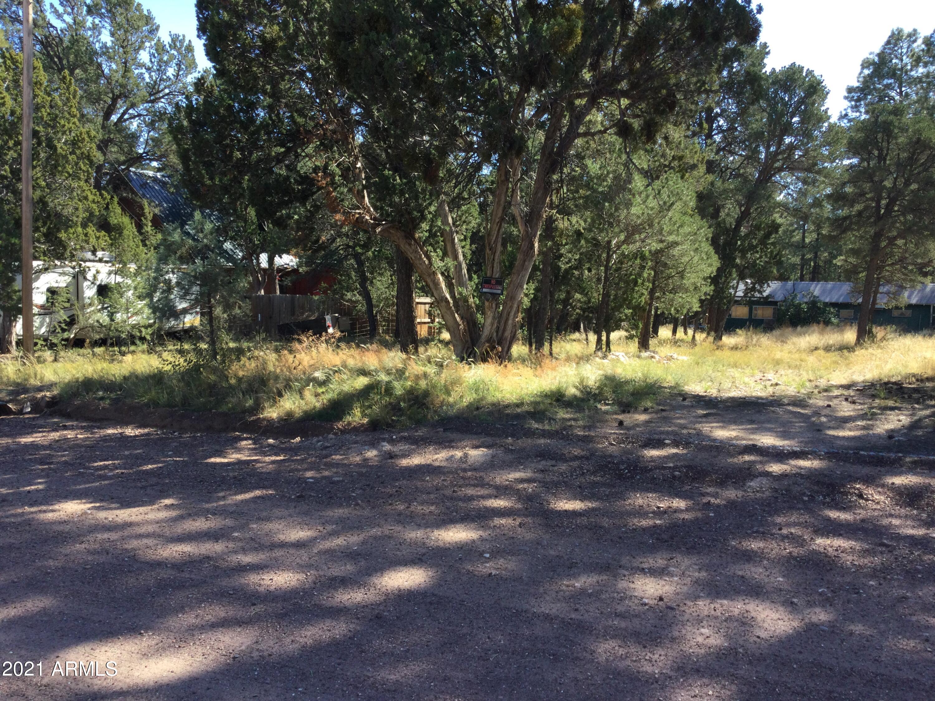 2145 Cottontail Road, Unit 366 Overgaard, AZ 85933 - Photo 1 of 4 IMG_0528