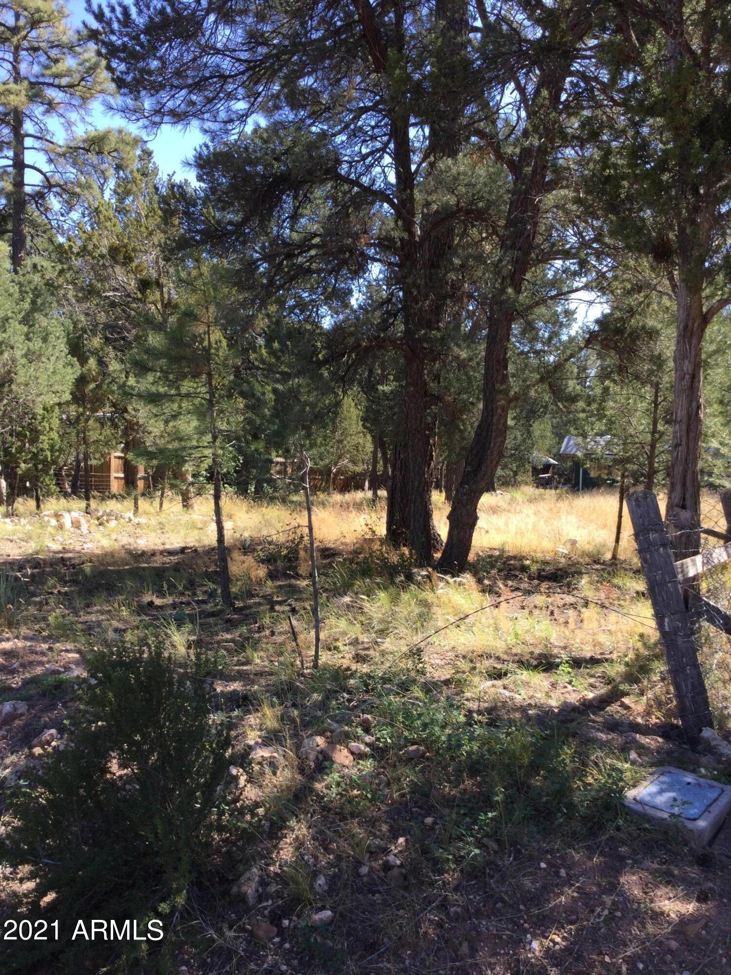 2145 Cottontail Road, Unit 366 Overgaard, AZ 85933 - Photo 3 of 4 IMG_0529