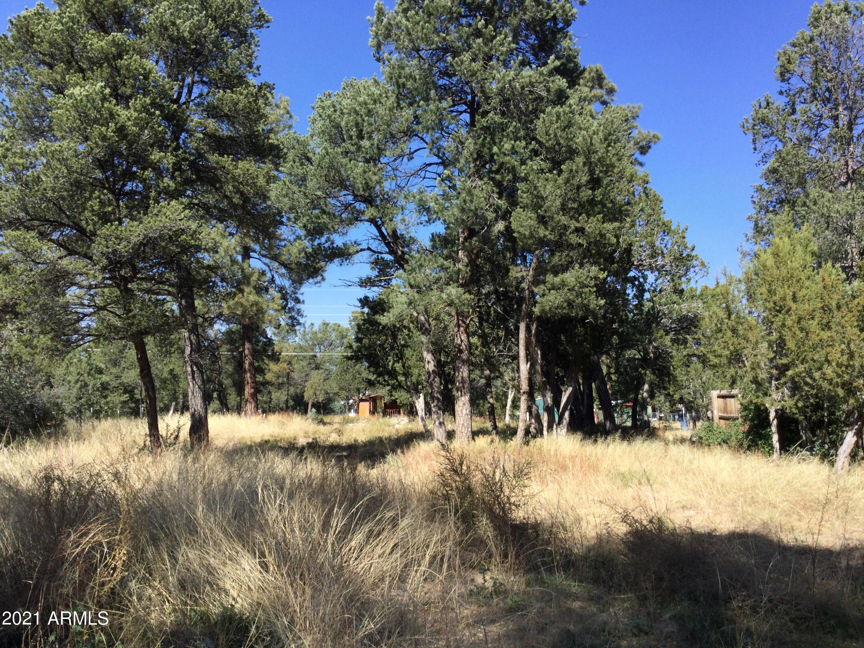 2145 Cottontail Road, Unit 366 Overgaard, AZ 85933 - Photo 4 of 4 IMG_0542