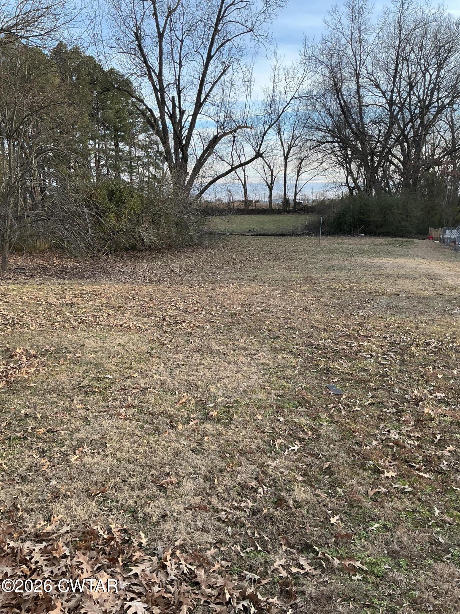 84 Carter Street Alamo, TN 38001 - Photo 4 of 25 a view of yard with trees