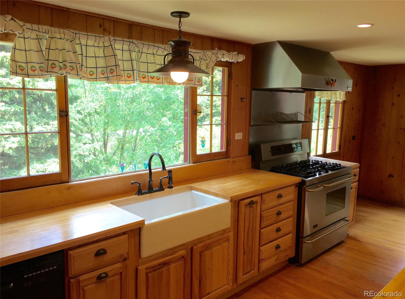 6676 South Brook Forest Road Evergreen, CO 80439 - Photo 3 of 29 Gallery Image 3