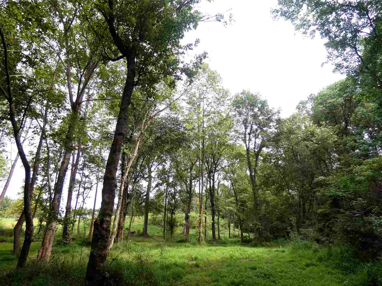 0 Caldwell Road Ripley, TN 38063 - Photo 1 of 6