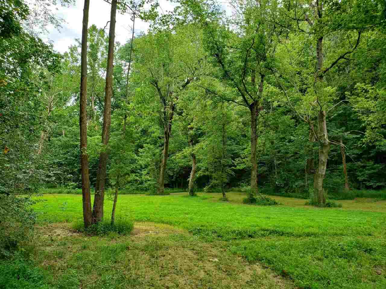 0 Caldwell Road Ripley, TN 38063 - Photo 3 of 6