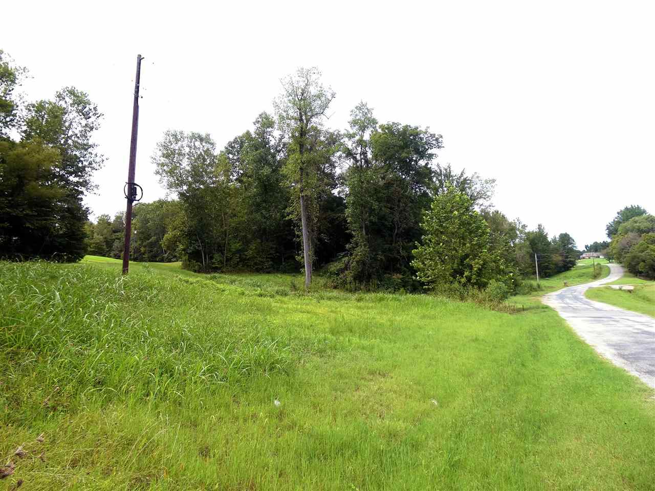 0 Caldwell Road Ripley, TN 38063 - Photo 5 of 6