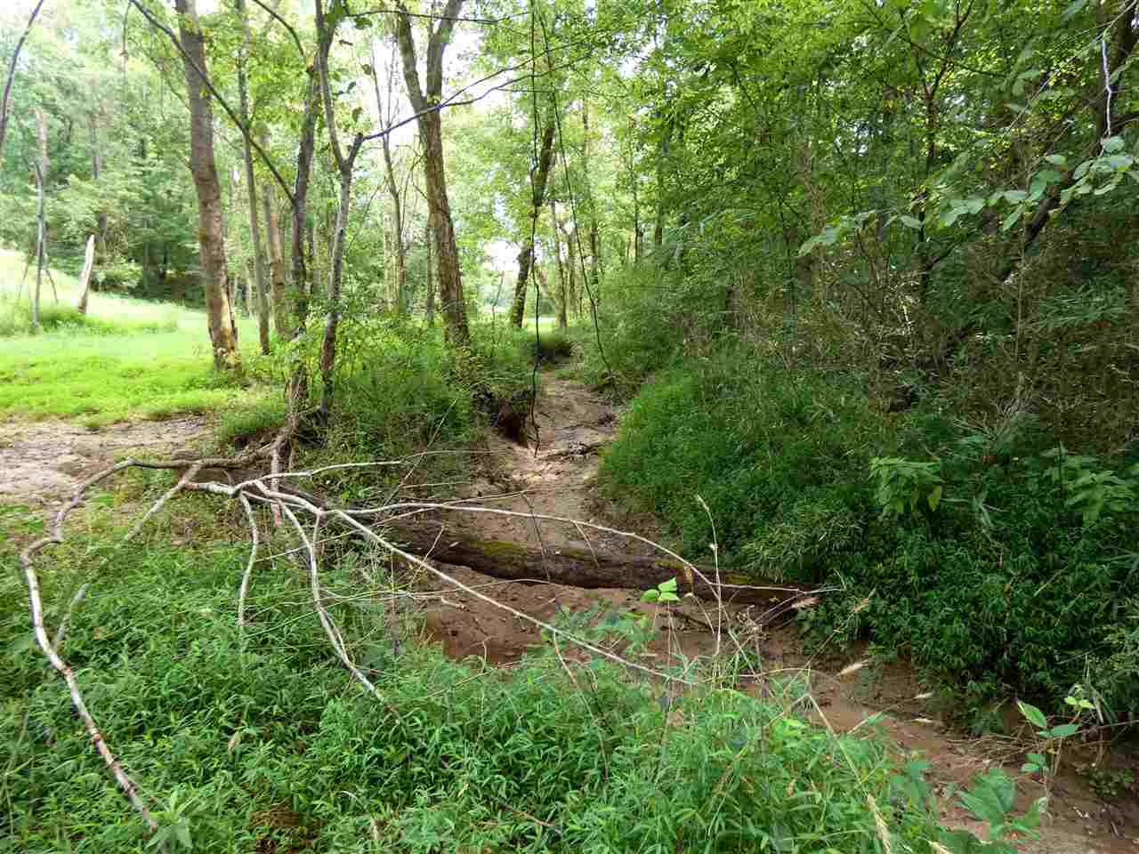 0 Caldwell Road Ripley, TN 38063 - Photo 6 of 6