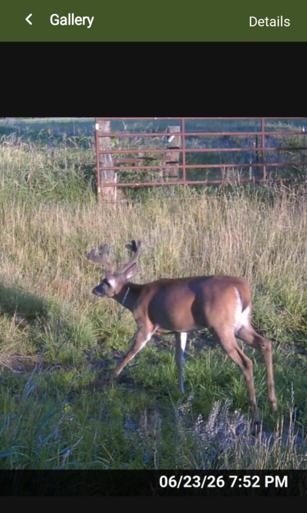 Xxx Peacock Road Greentop, MO 63546 - Photo 11 of 35 Gallery Image 11