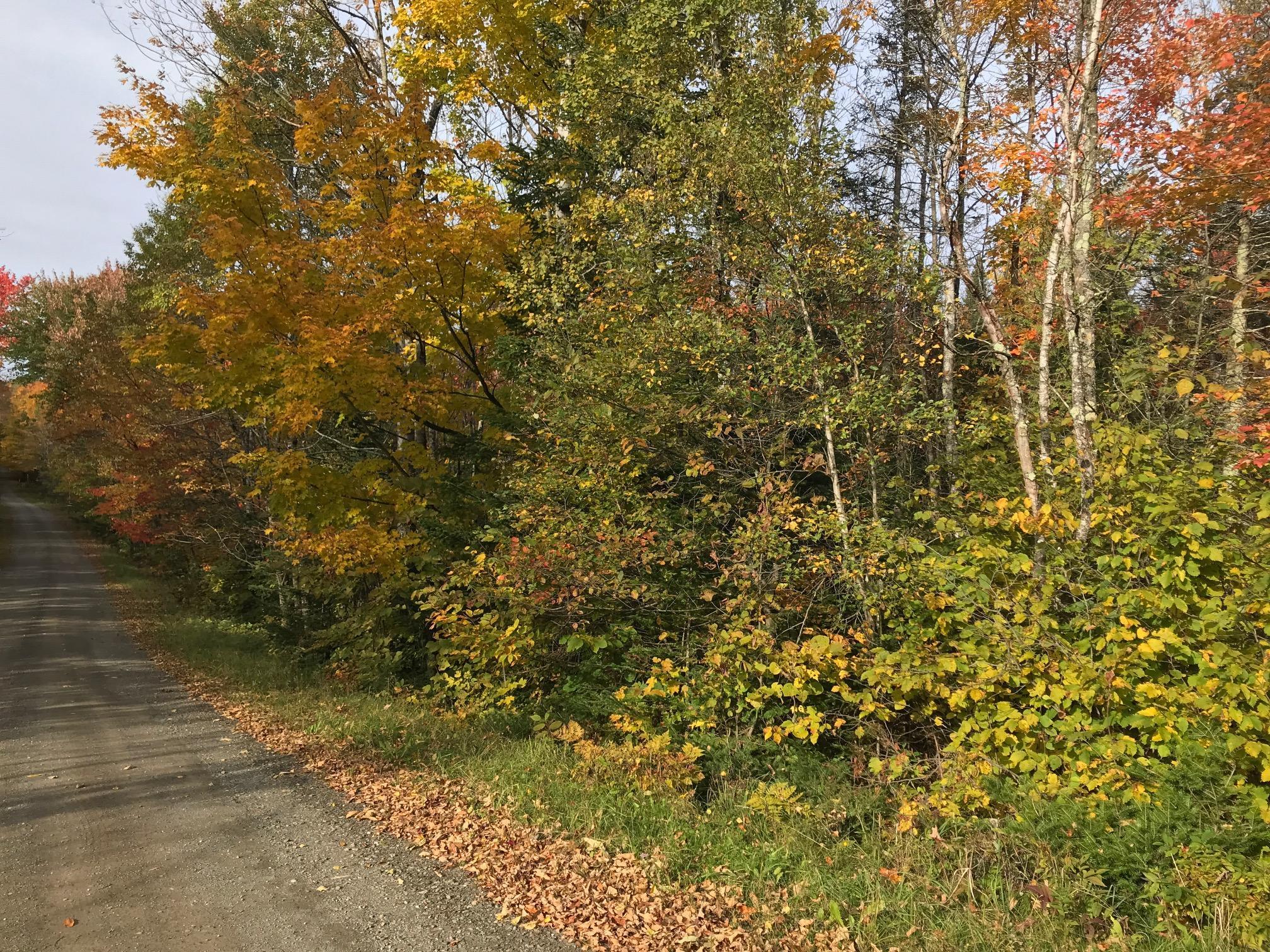 9 High Cut Road Garland, ME 04939 - Photo 1 of 7 20191015005618308248000000-o