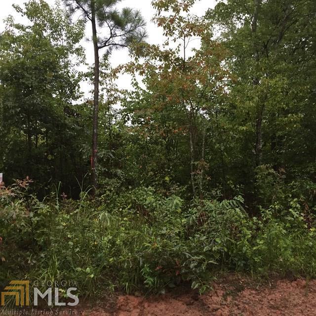 0 Faulkner Road, Unit 2 Waco, GA 30182 - Photo 1 of 1