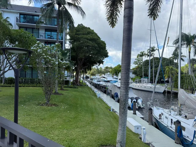 a view of a backyard with palm trees