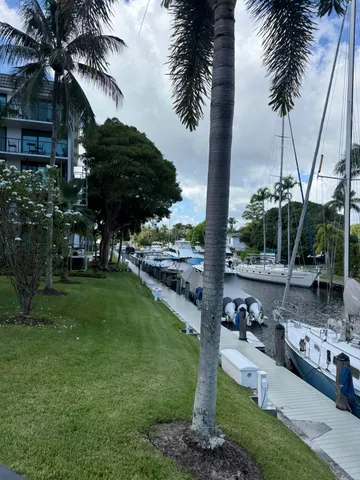 a view of a patio with table and chairs potted plants and palm tree