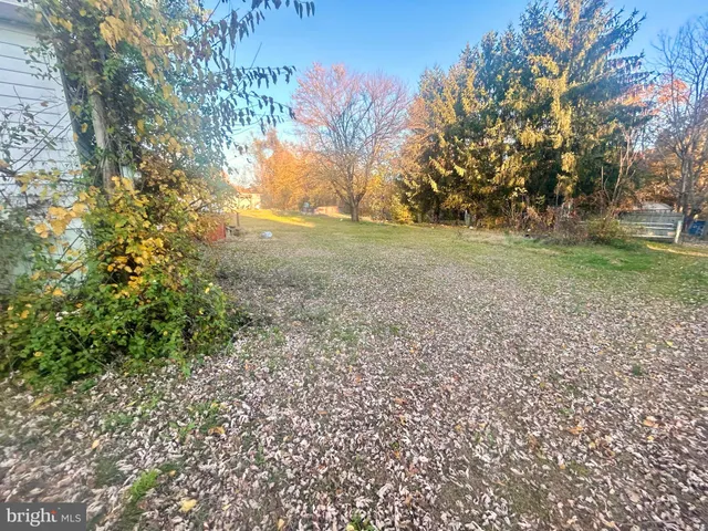a view of yard with trees