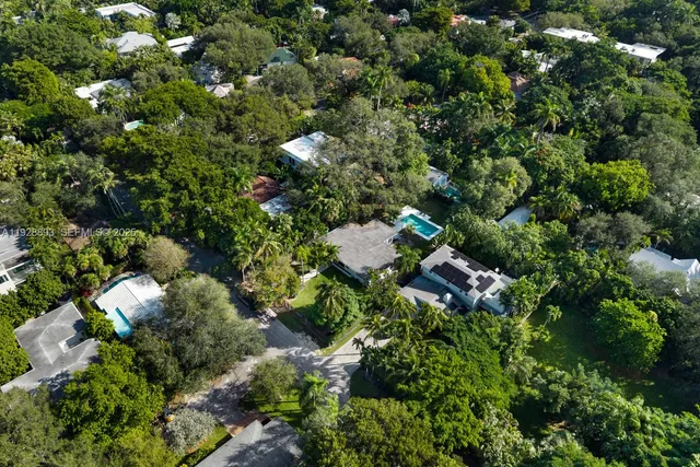 a view of a tree in a garden
