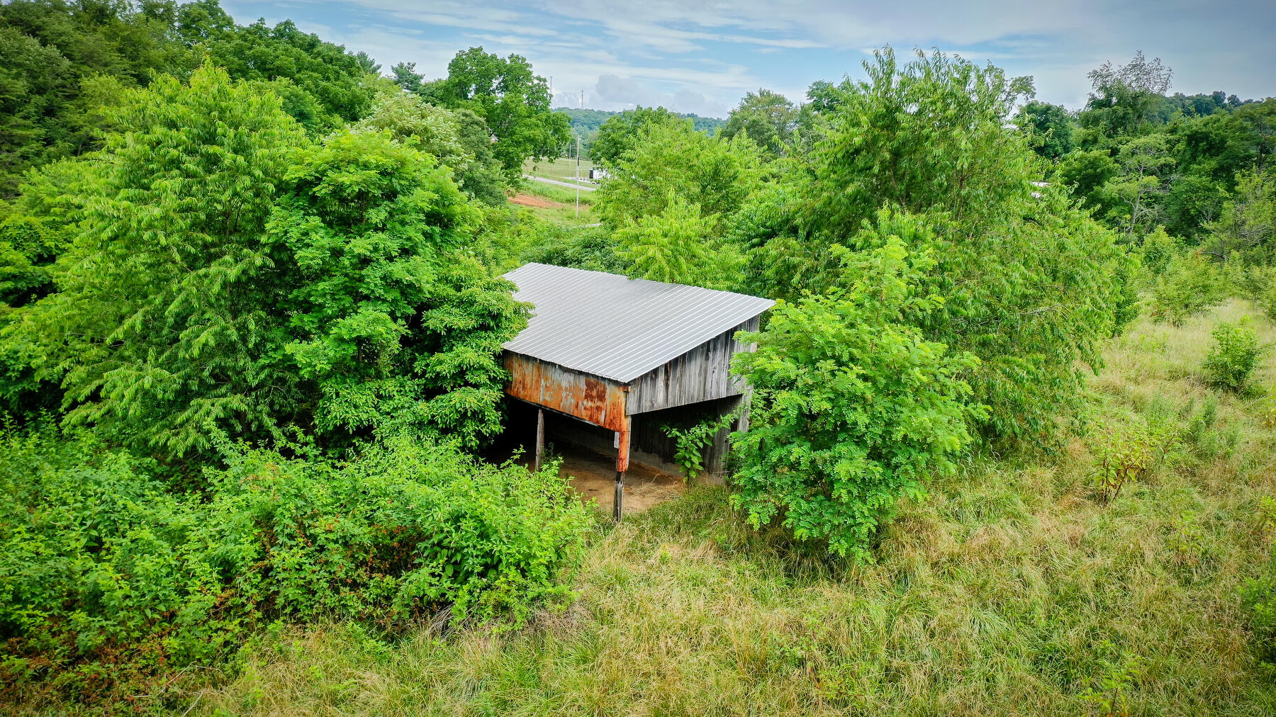 Tba Reedy Creek Road Blountville, TN 37617 - Photo 17 of 17 115