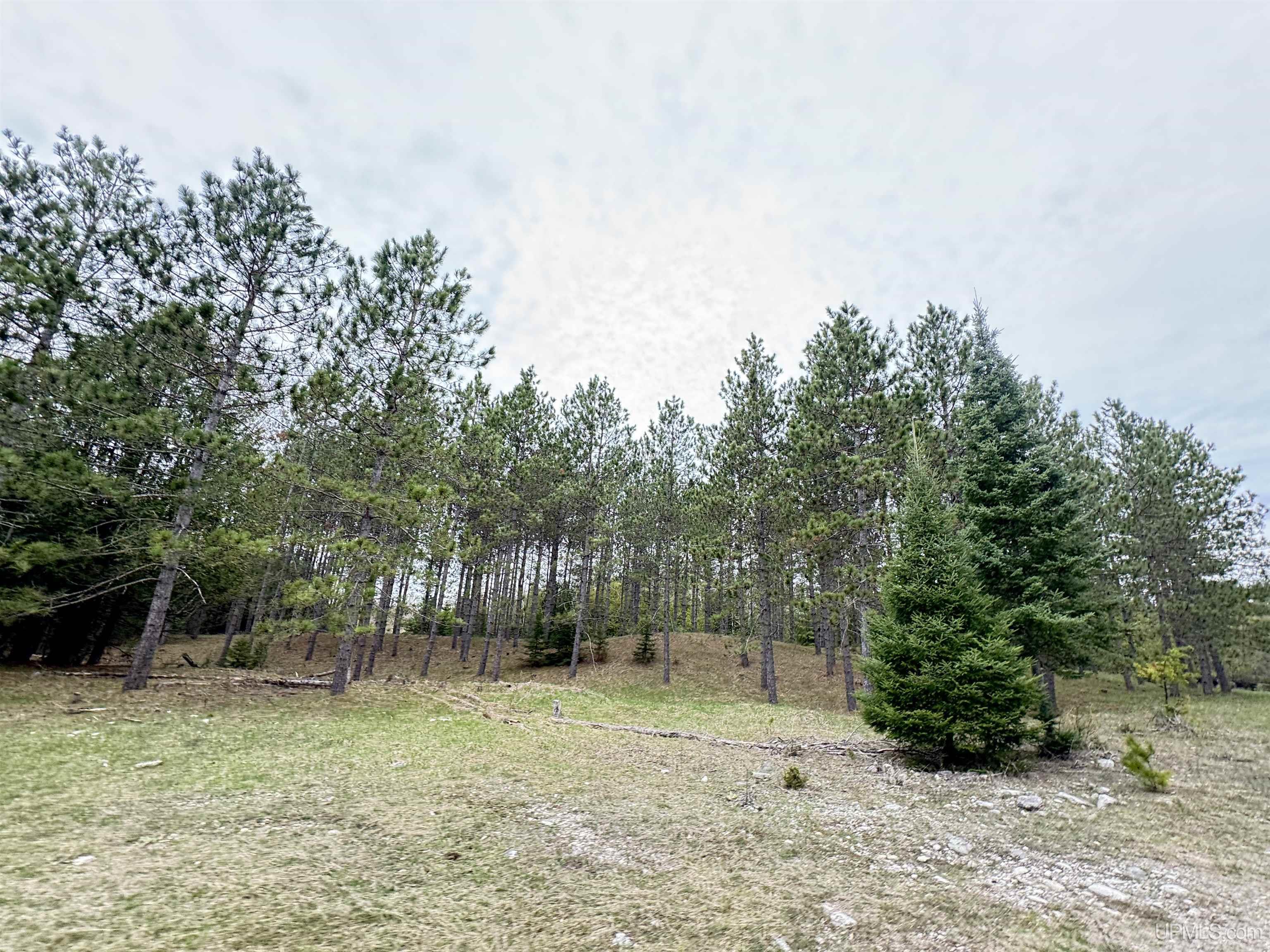 W4777 Lahay Road Daggett, MI 49821 - Photo 57 of 67