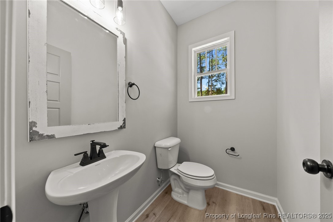 15980 Old Orchard Court Wagram, NC 28396 - Photo 20 of 33 a bathroom with a toilet a sink and mirror