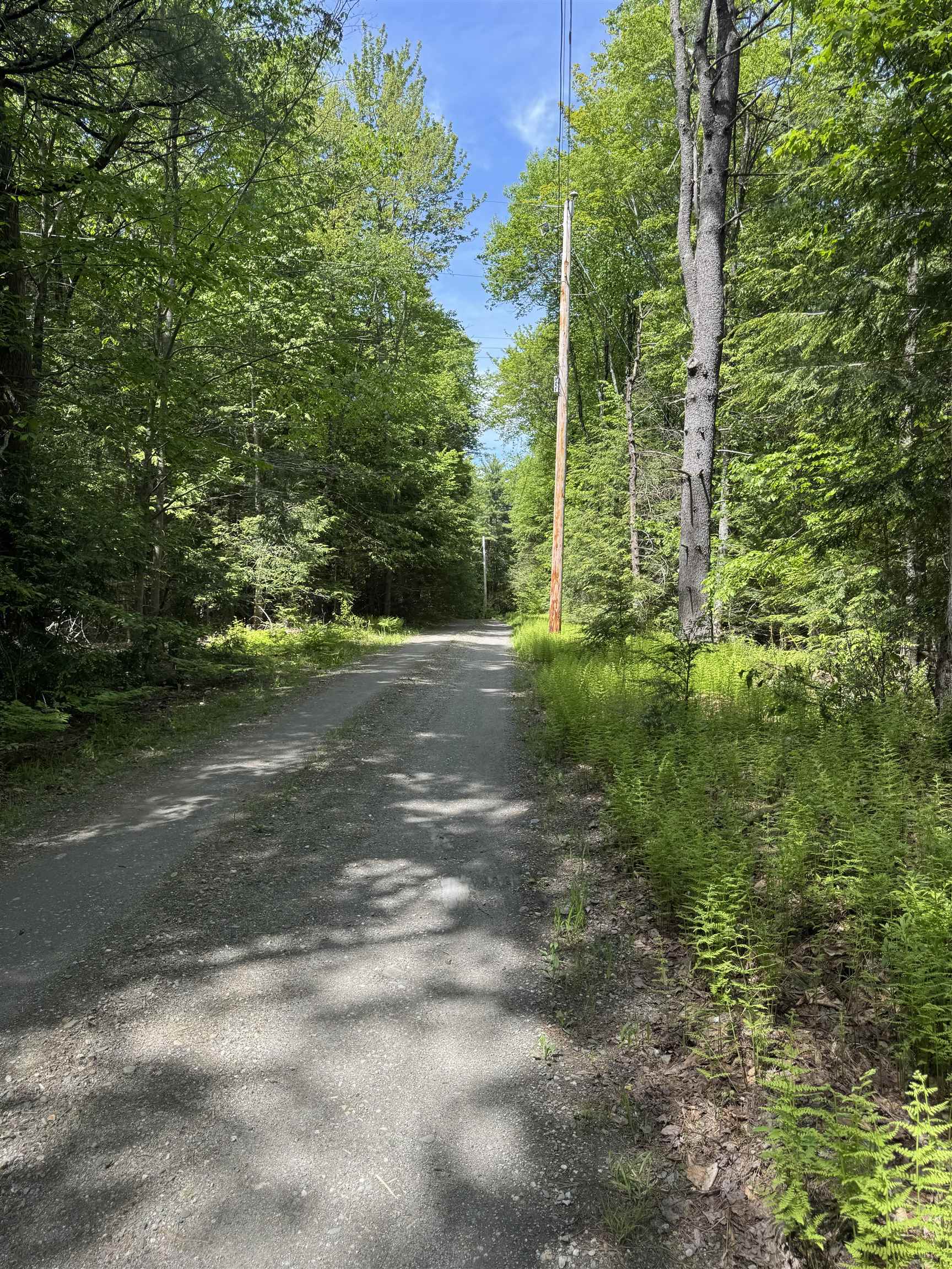 0 Melendy Hill Road Guilford, VT 05301 - Photo 3 of 11