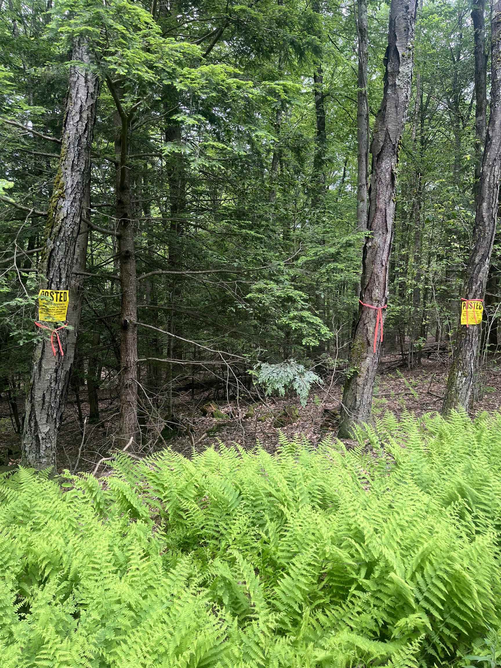 0 Melendy Hill Road Guilford, VT 05301 - Photo 4 of 11