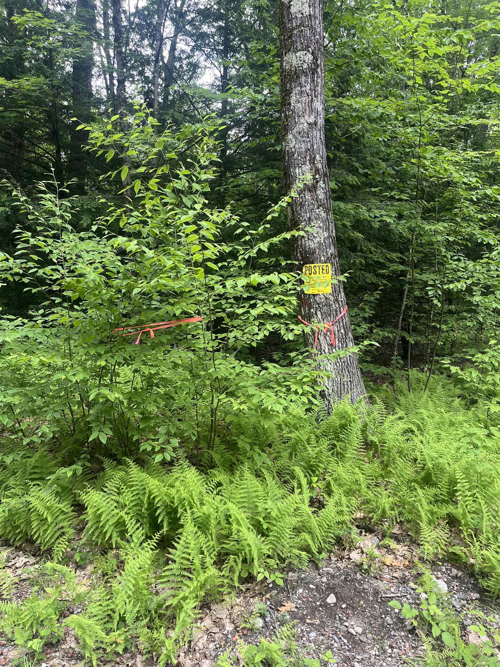 0 Melendy Hill Road Guilford, VT 05301 - Photo 5 of 11