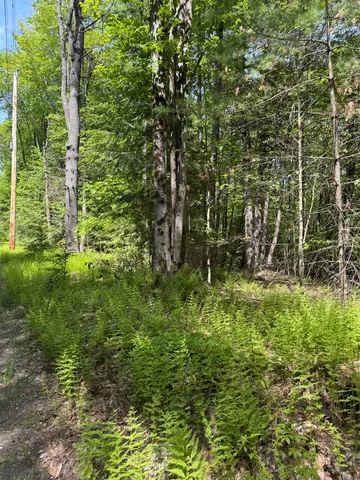 $250,000 | 0 Melendy Hill Road, Guilford, VT 05301