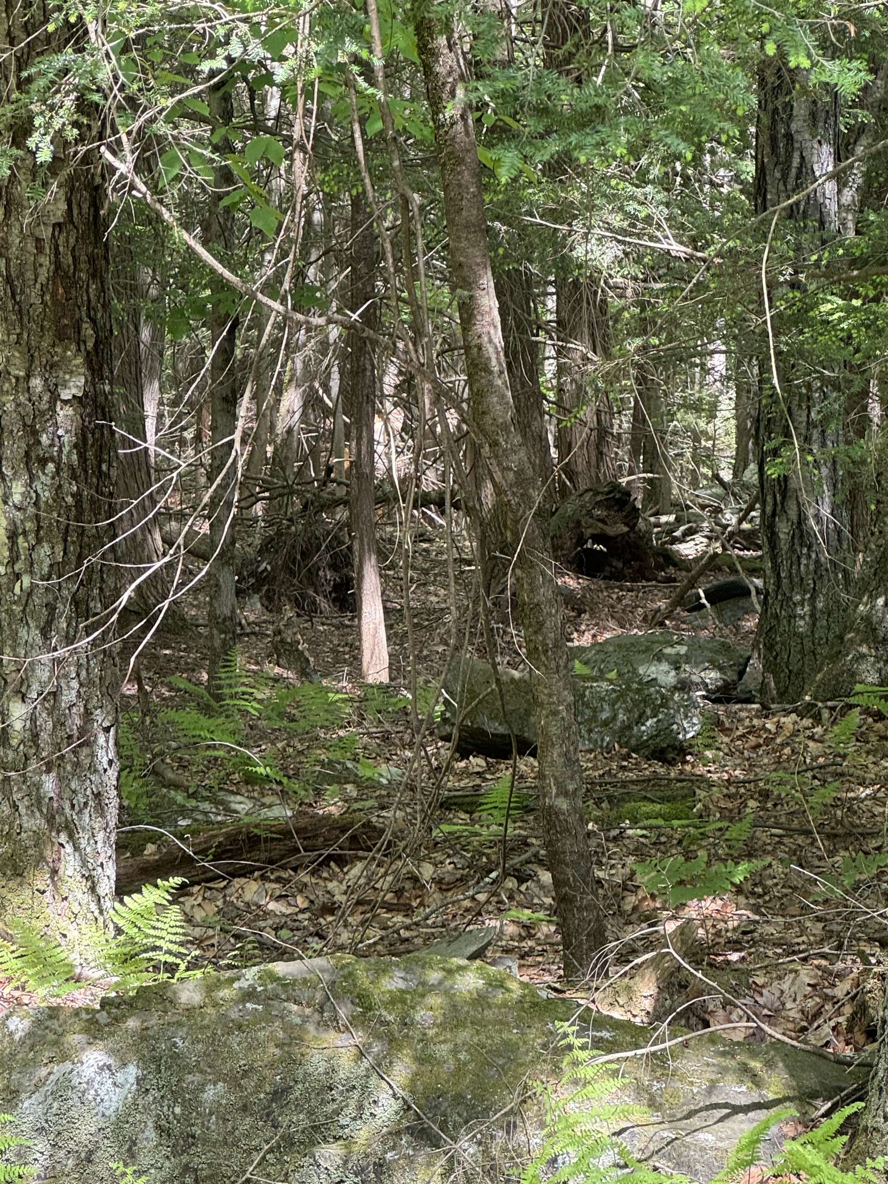 0 Melendy Hill Road Guilford, VT 05301 - Photo 7 of 11