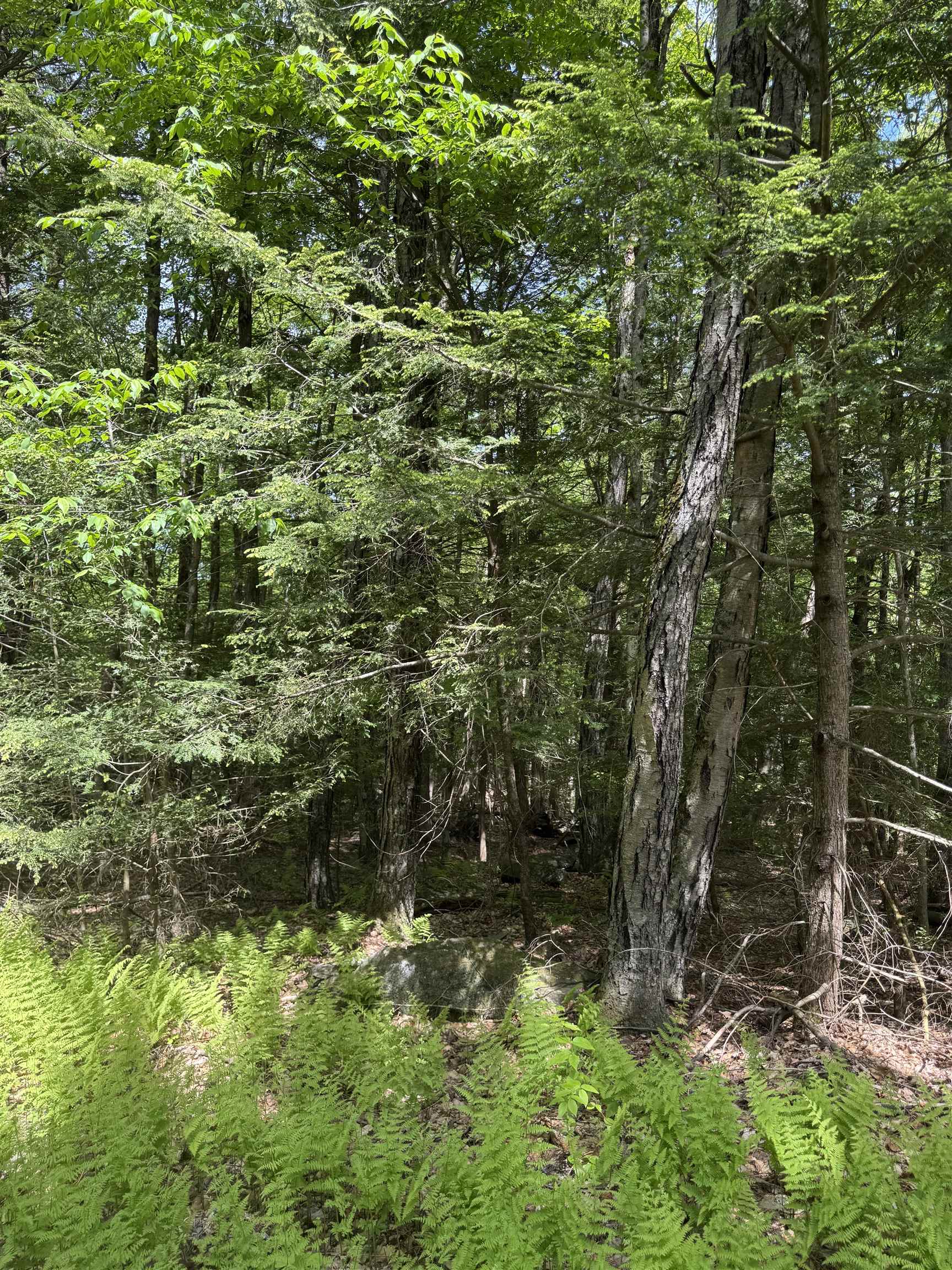 0 Melendy Hill Road Guilford, VT 05301 - Photo 8 of 11