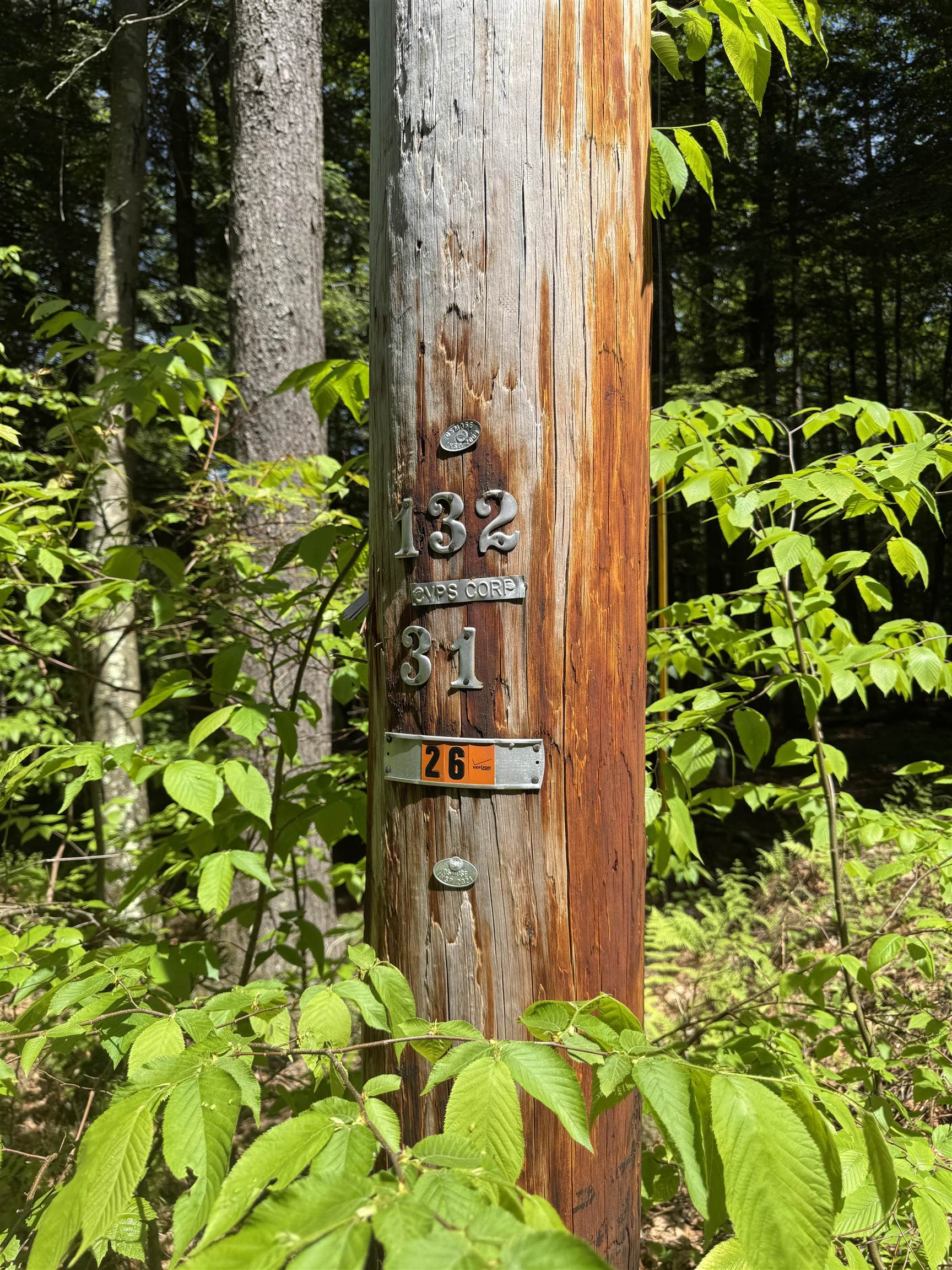 0 Melendy Hill Road Guilford, VT 05301 - Photo 10 of 11