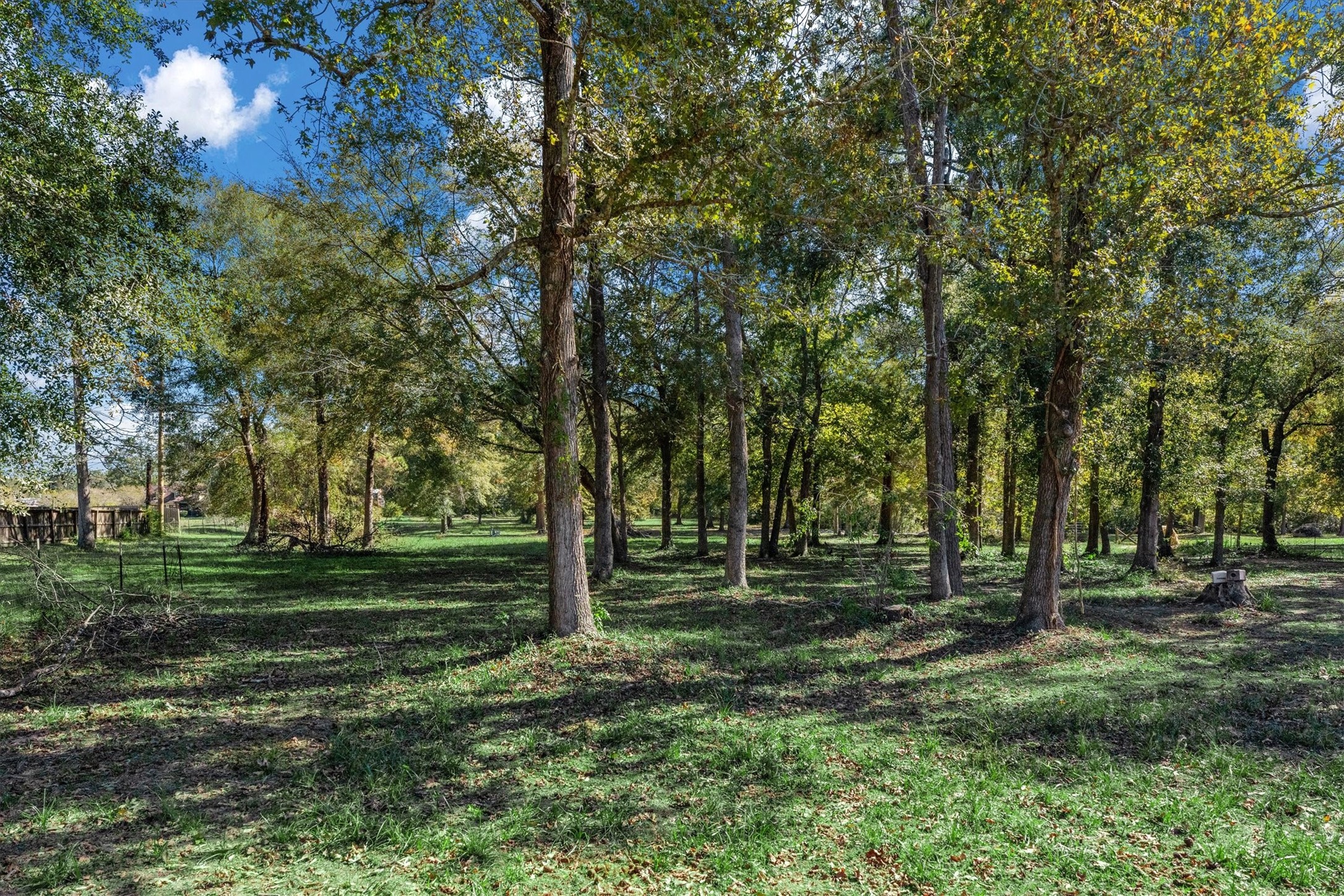 10205 Fostoria Road Cleveland, TX 77328 - Photo 39 of 41 Fenced Pasture