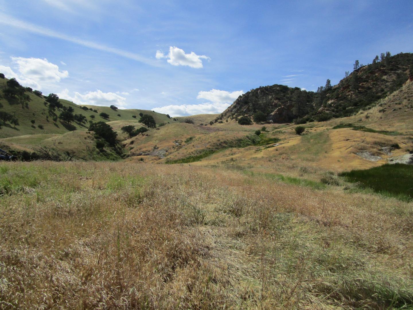 0 New Idria Road Paicines, CA 95043 - Photo 12 of 20 Gallery Image 12