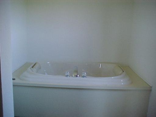 9-n047 Barron Road Maple Park, IL 60151 - Photo 9 of 16 a bathroom with a bathtub