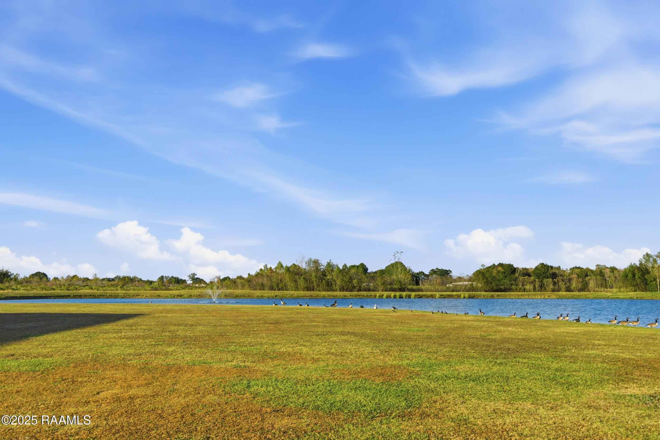 234 Cypress Bend Scott, LA 70583 - Photo 37 of 52 34_dsc09483