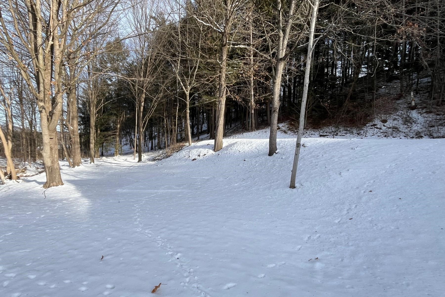 37 Sangamon Road Pittsford, VT 05763 - Photo 41 of 41