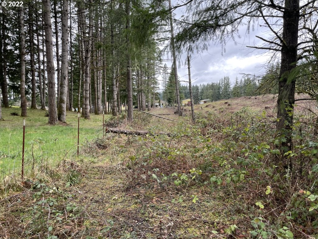 0 Southeast Snuffin Road Estacada, OR 97023 - Photo 12 of 12 Gallery Image 12