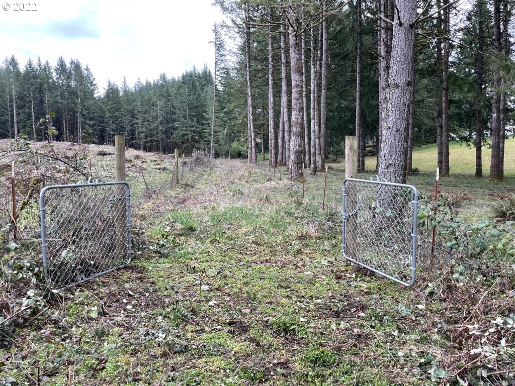 0 Southeast Snuffin Road Estacada, OR 97023 - Photo 3 of 12 Gallery Image 3