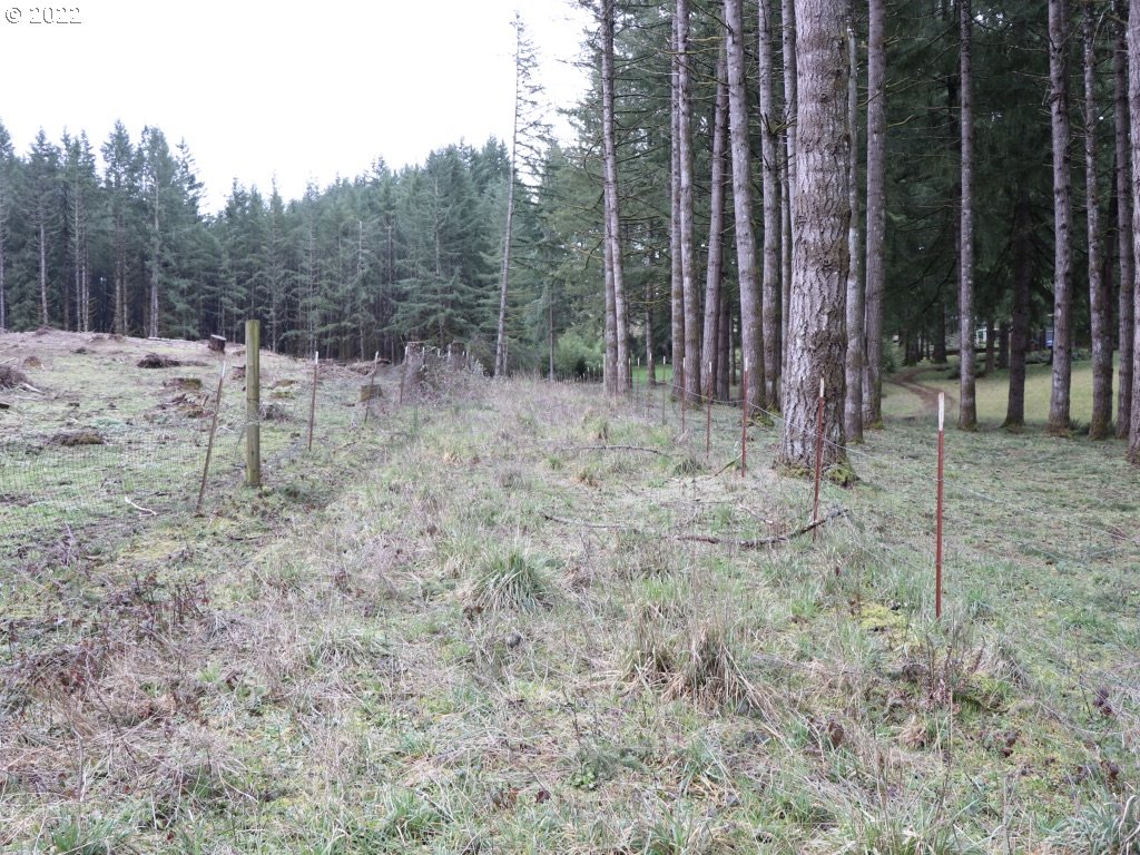 0 Southeast Snuffin Road Estacada, OR 97023 - Photo 4 of 12 Gallery Image 4