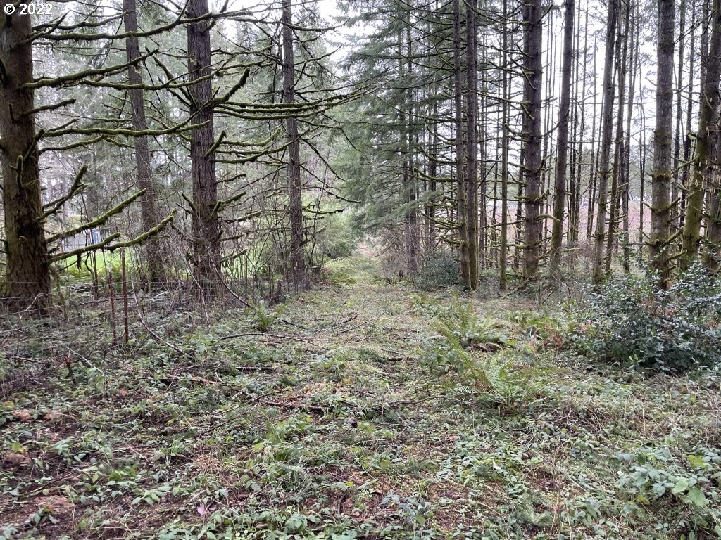 0 Southeast Snuffin Road Estacada, OR 97023 - Photo 6 of 12 Gallery Image 6