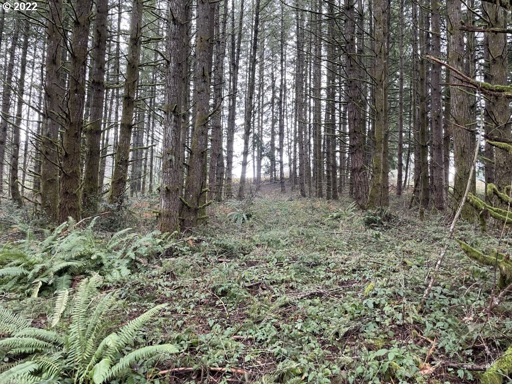 0 Southeast Snuffin Road Estacada, OR 97023 - Photo 8 of 12 Gallery Image 8