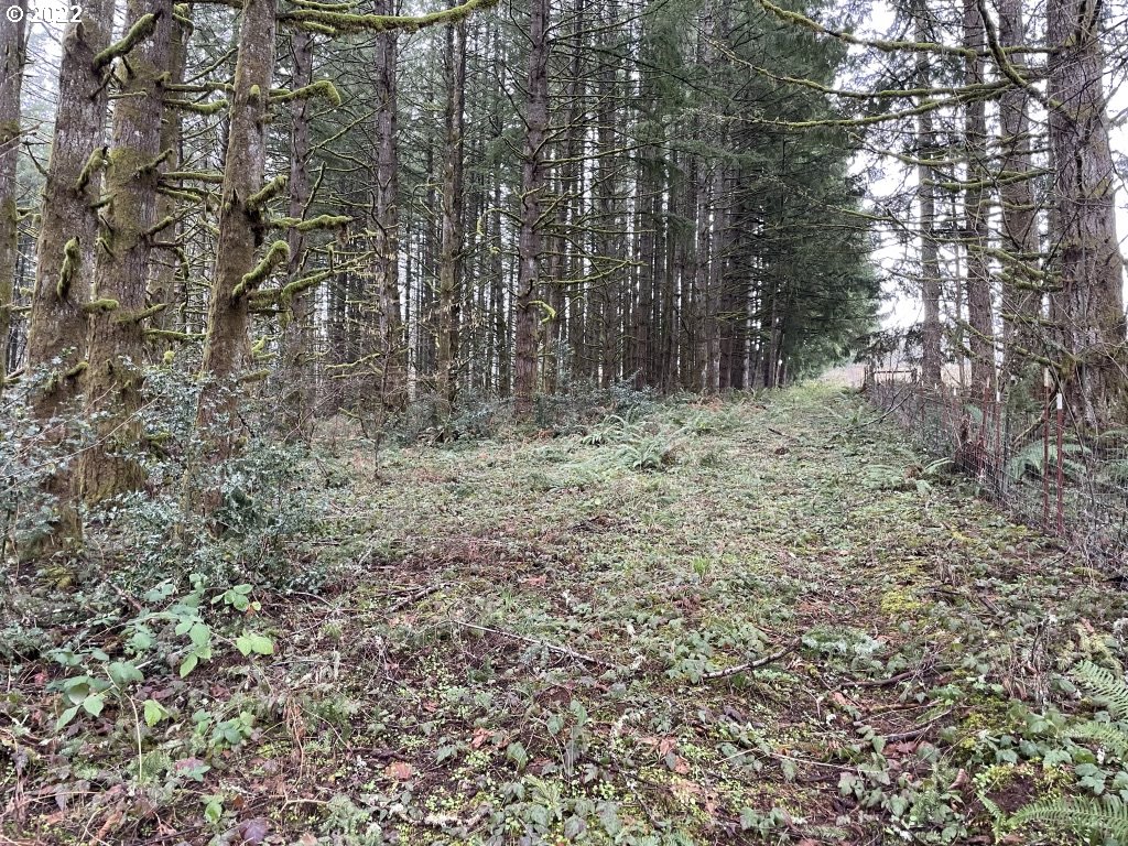 0 Southeast Snuffin Road Estacada, OR 97023 - Photo 10 of 12 Gallery Image 10