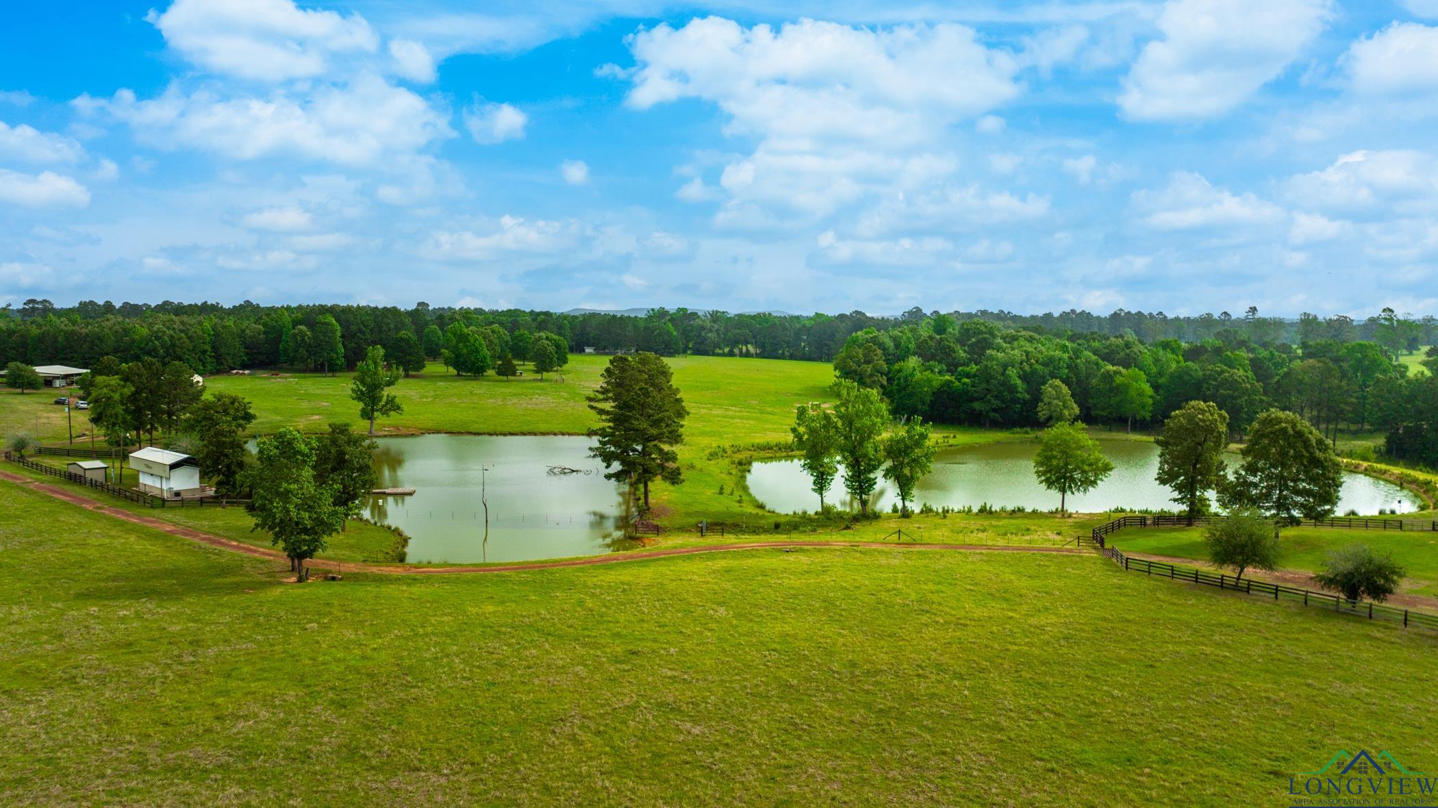 1117 Jonquil Road Gilmer, TX 75645 - Photo 11 of 36 Gallery Image 11