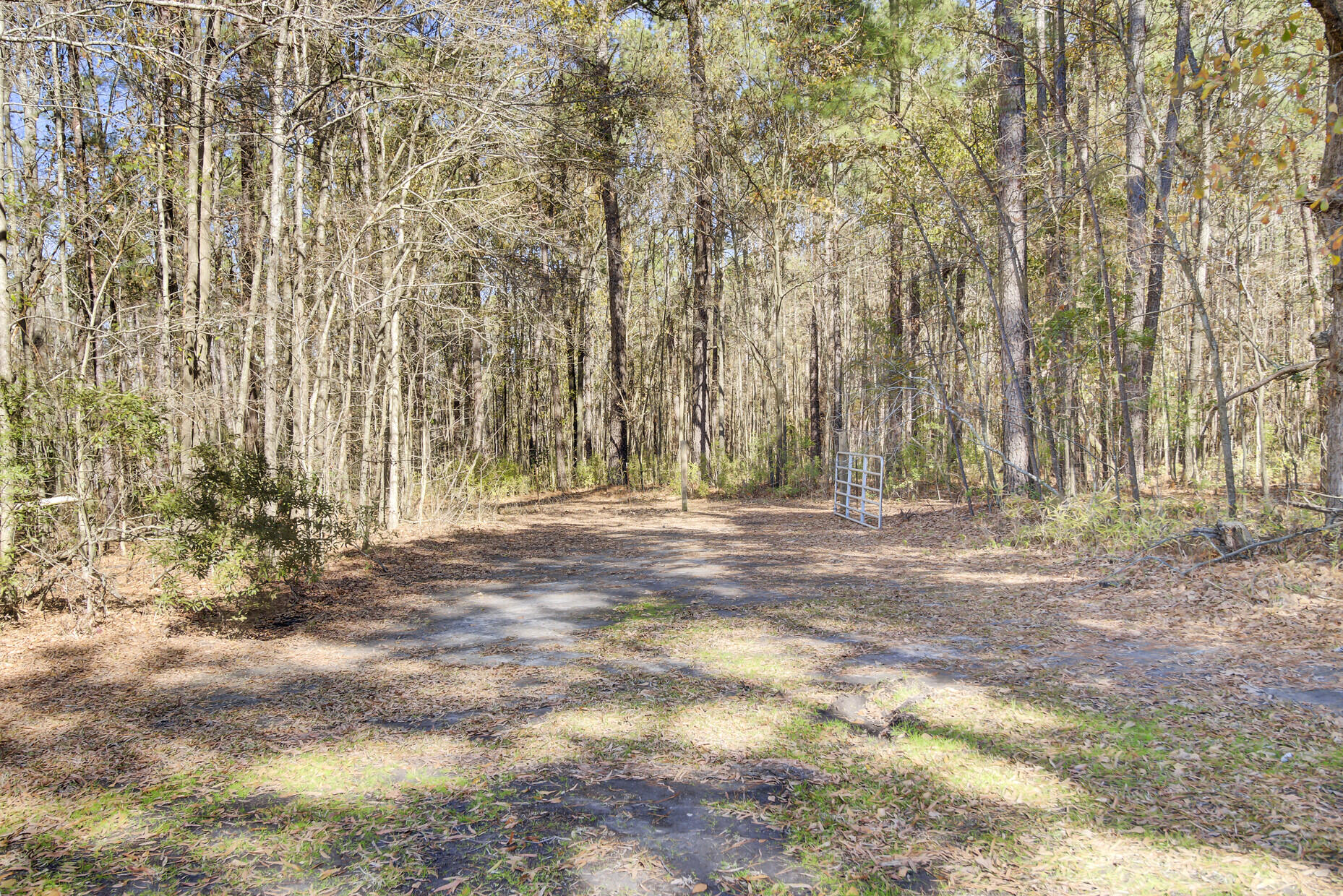 369 Groomsville Road Moncks Corner, SC 29461 - Photo 62 of 82 Riding Trails