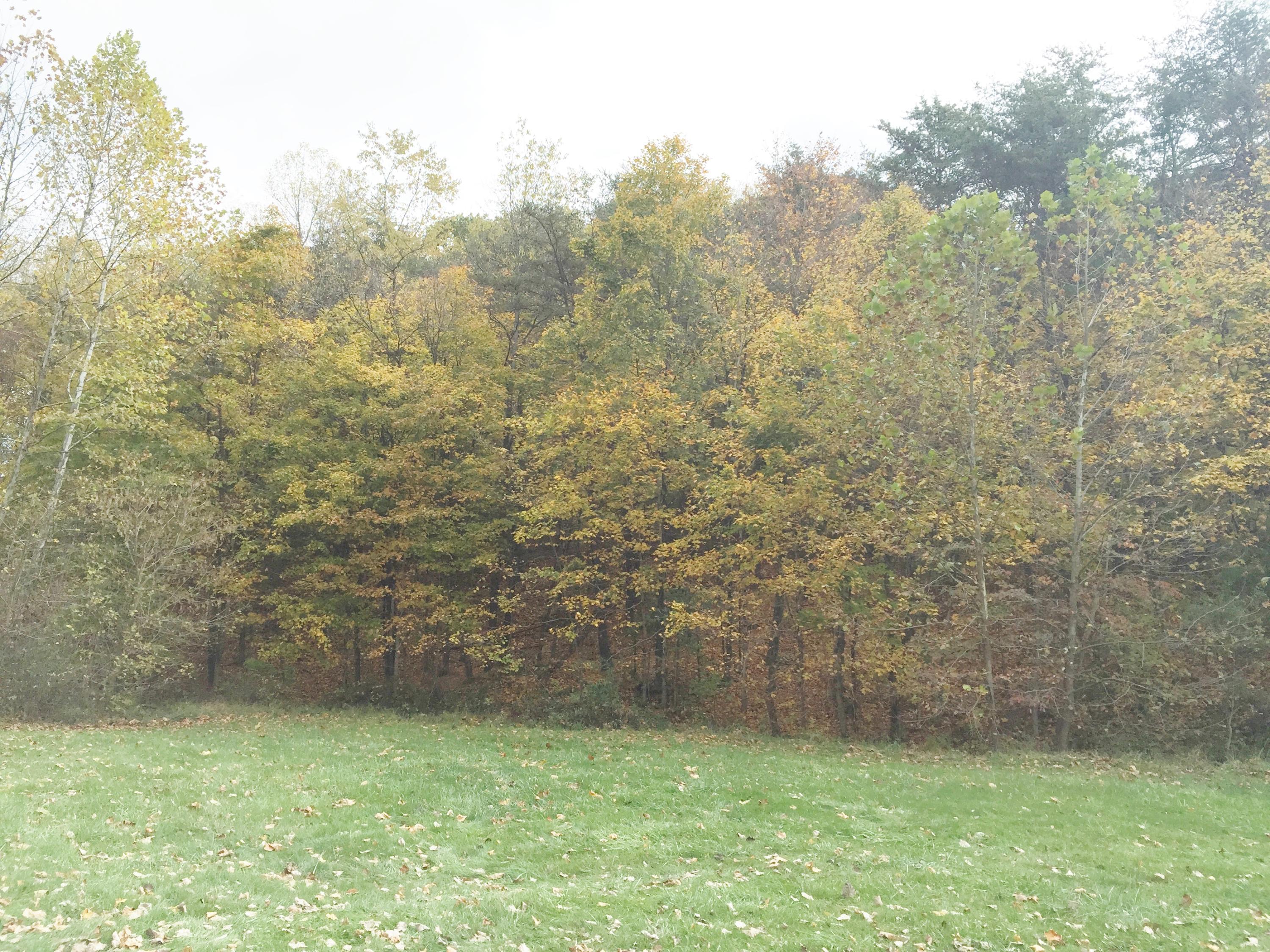 35721 Scout Road Logan, OH 43138 - Photo 75 of 80 Gallery Image 75