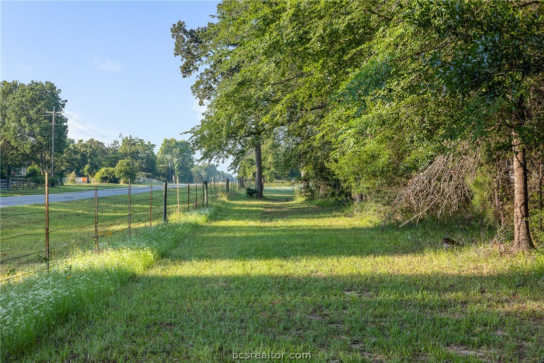 26795 Rice Road Hockley, TX 77447 - Photo 4 of 19 a view of a park with large trees
