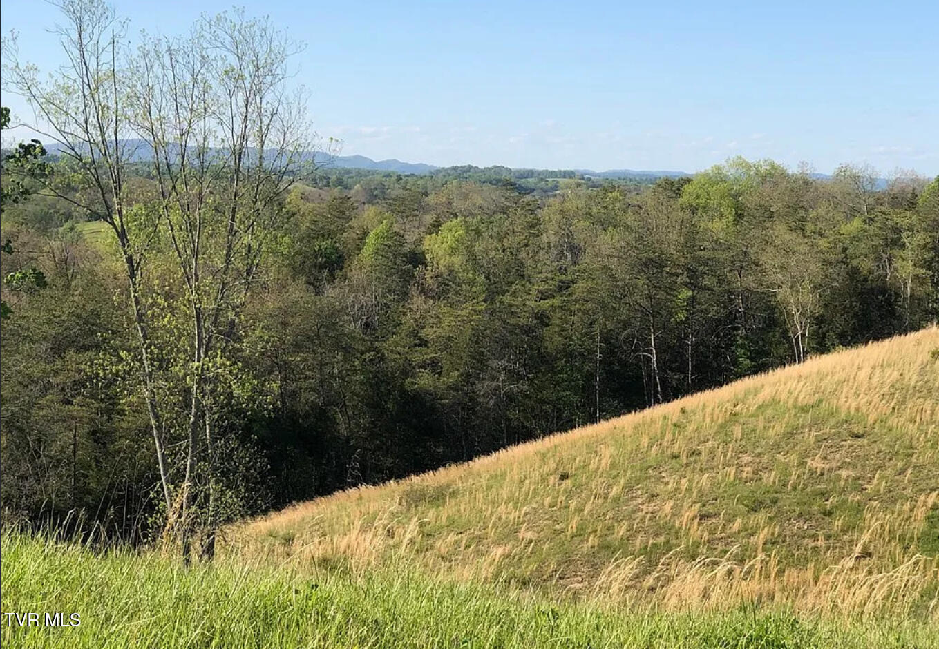 3456 Warrensburg Road, Unit 17 Whitesburg, TN 37891 - Photo 32 of 83 _Pic45